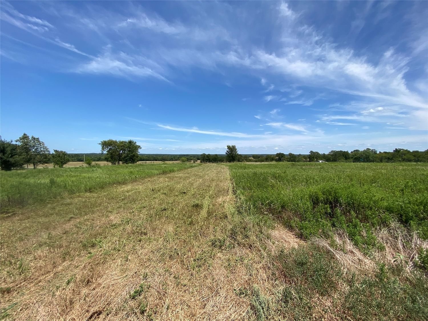 Real estate property located at 6099 Fm 1486, Grimes, Richards, TX, US