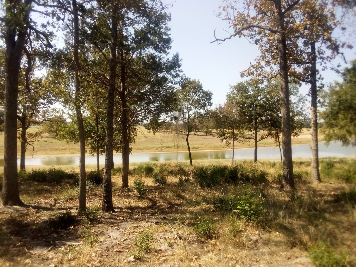 Real estate property located at TR 7 Three Lakes Ranch, Leon, Centerville, TX, US