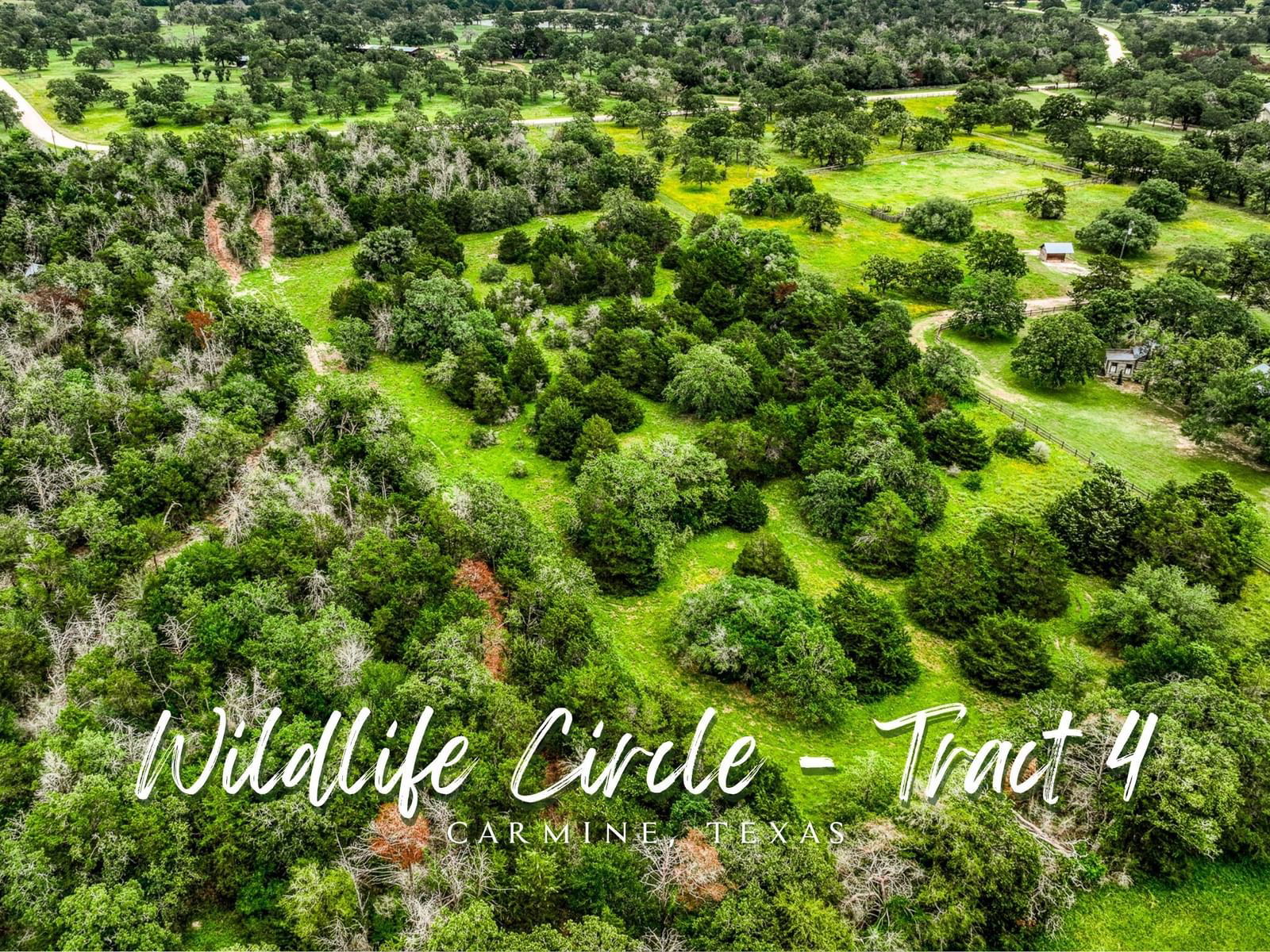 Real estate property located at Tract 4 Wildlife, Washington, (WILDLIFE) WILDLIFE CIRCLE, Carmine, TX, US