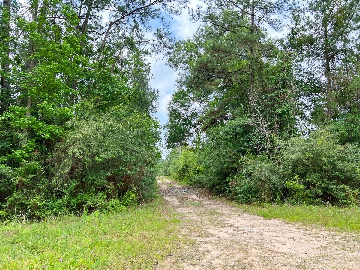 Real estate property located at 08 Old Arco Rd, Hardin, Silsbee, TX, US