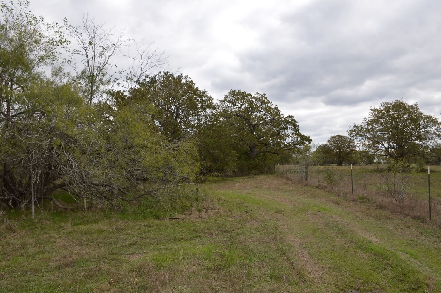 Real estate property located at TBD 10 Fawn Oaks Trail, Grimes, T Walker, Iola, TX, US