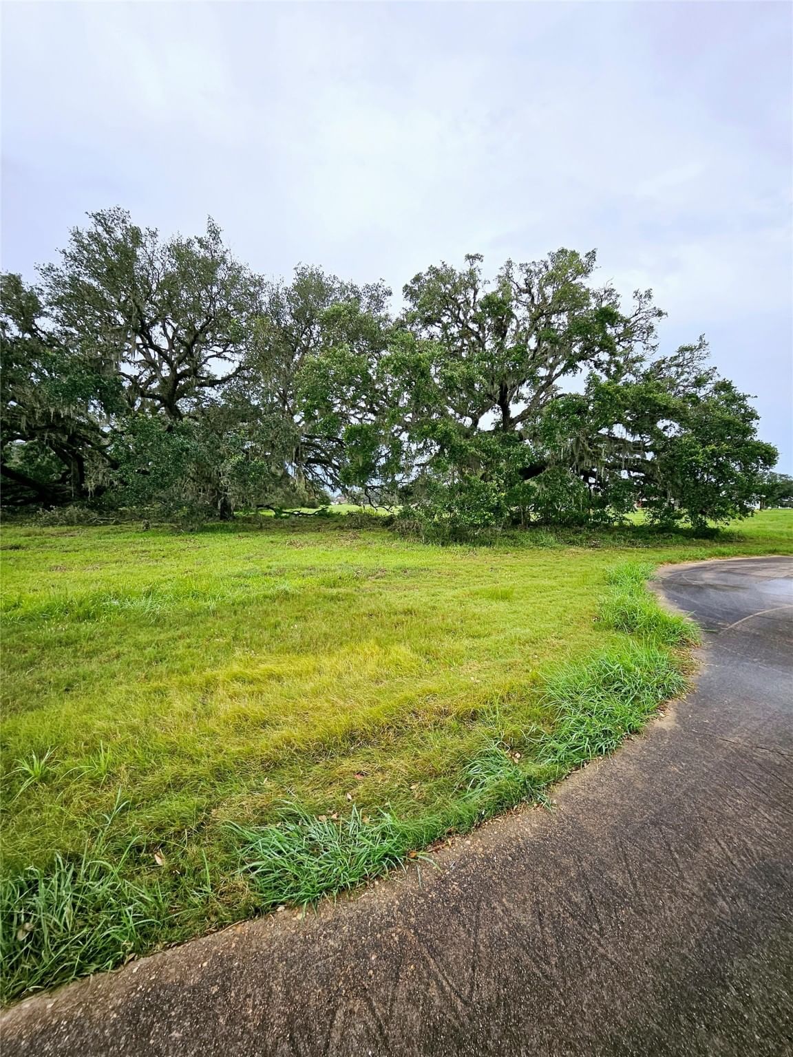 Real estate property located at 567 Six Gun, Brazoria, Bar X Ranch Sec 10, Angleton, TX, US