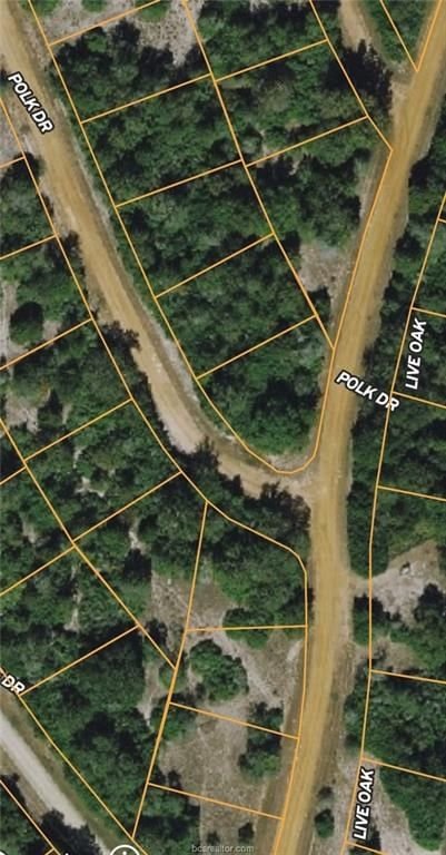 Real estate property located at TBD Polk Dr And Live Oak Lot 10, Leon, Hilltop Lakes, TX, US