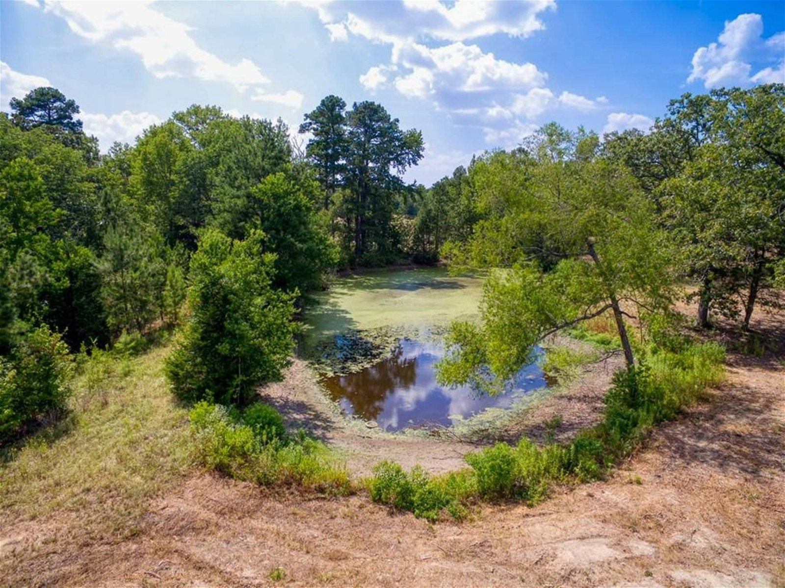 Real estate property located at 337 An County Road 1635, Anderson, Robert Erwin Surv Abs #262xxx, Palestine, TX, US