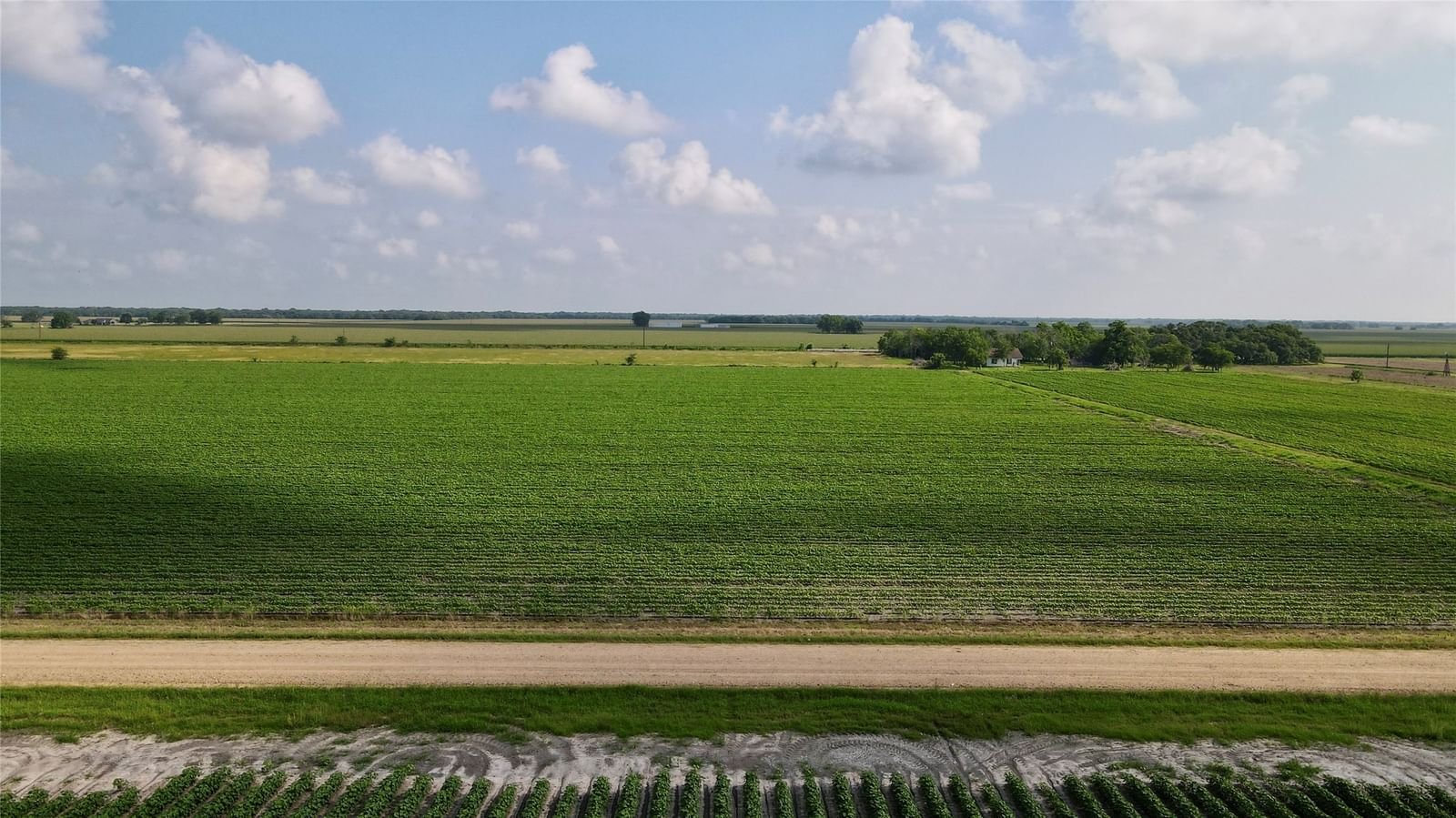 Real estate property located at 0000 CR 358, Wharton, A20332 Abst 332 Tr 4a-3, Louise, TX, US