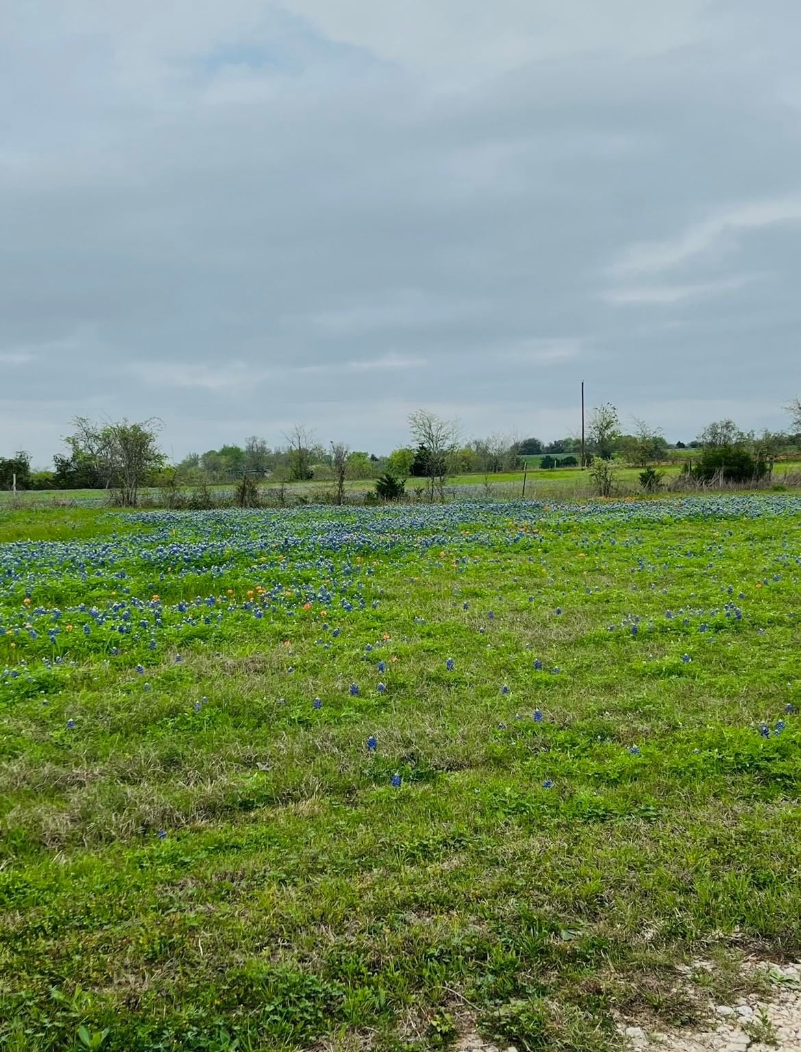 Real estate property located at 455 Century Farms, Washington, Burton, TX, US