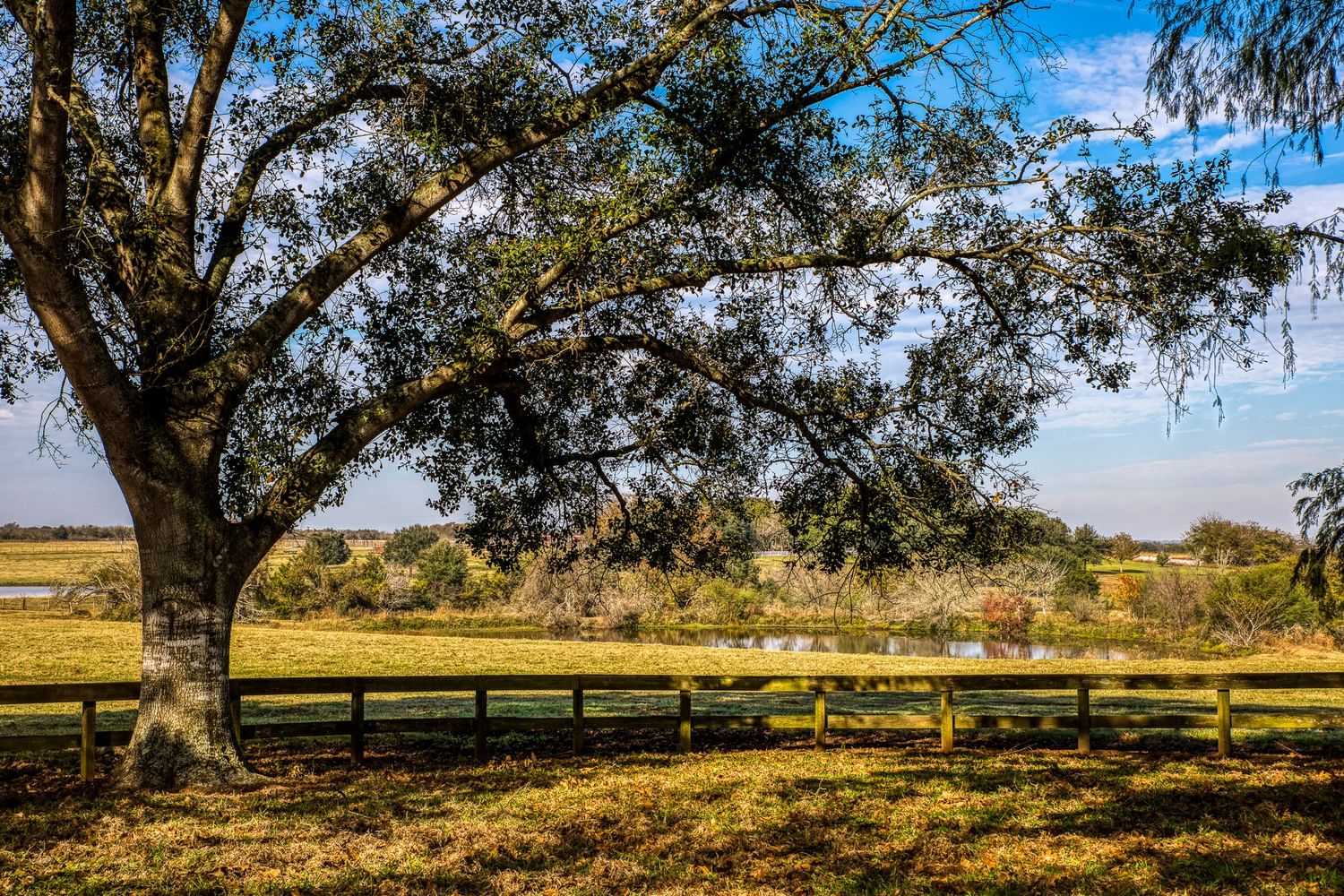 Real estate property located at 1382 Bluebonnet Ridge Dr, Washington, Bluebonnet Ridge Heritage Estates, Chappell Hill, TX, US