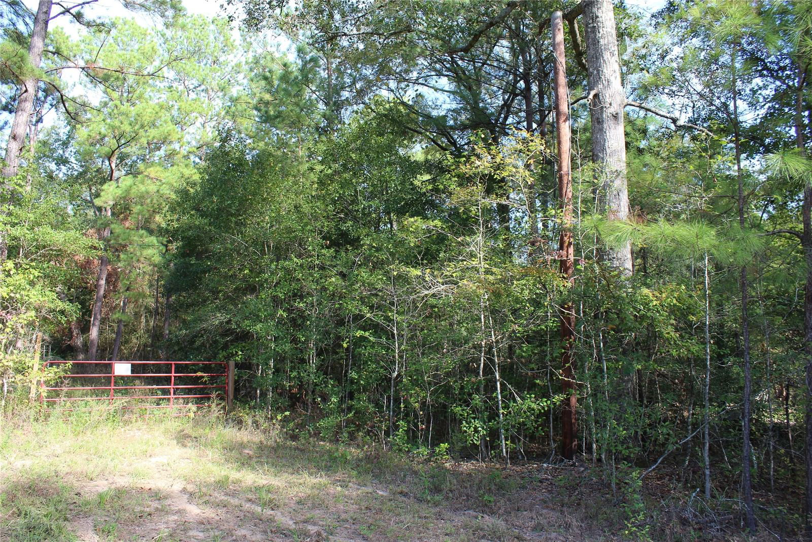 Real estate property located at 11365 Wren, Montgomery, Conroe, TX, US