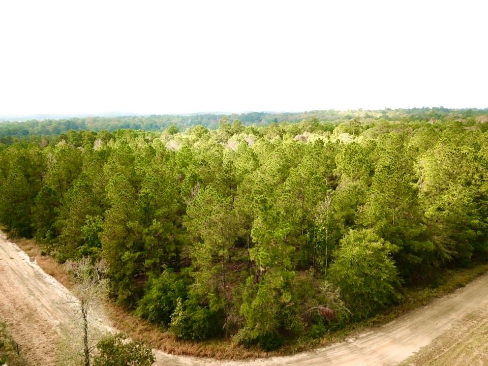 Real estate property located at TBD County road 2310, Tyler, Rural, Woodville, TX, US