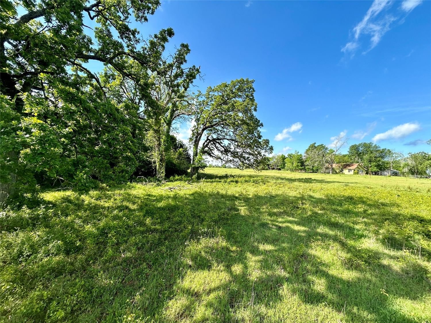 Real estate property located at 1103 County Road 420, Leon, N/A, Centerville, TX, US