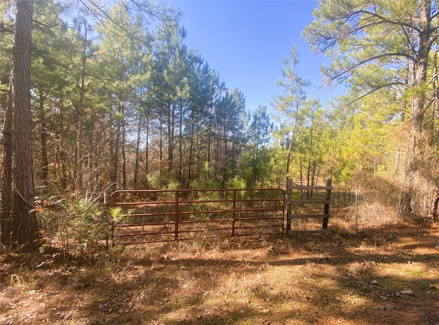 Real estate property located at 0TBD County Rd 3143, Rusk, N, Mount Enterprise, TX, US