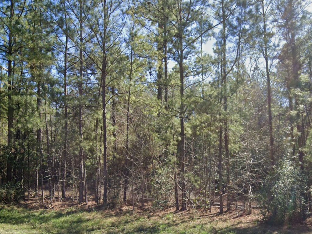 Real estate property located at 3670 Highway 326, Hardin, N/A, Kountze, TX, US