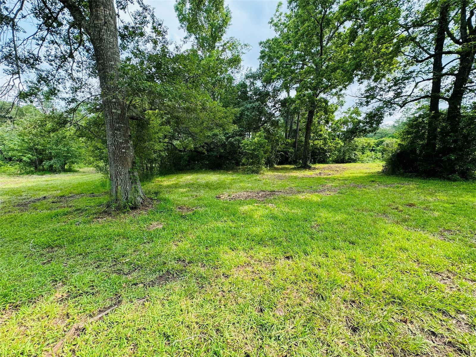 Real estate property located at 2834 Fm 770, Liberty, C F Stevens-176, Liberty, TX, US