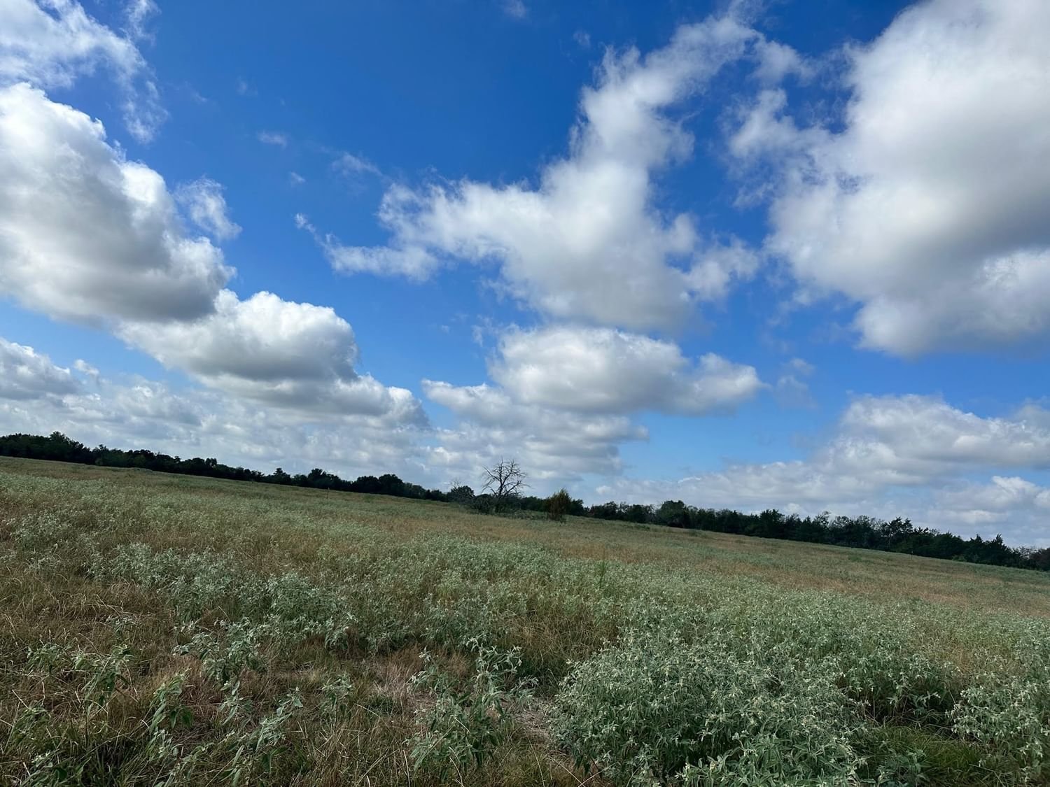 Real estate property located at 10AC CR 930, Freestone, Cort Ranch, Teague, TX, US