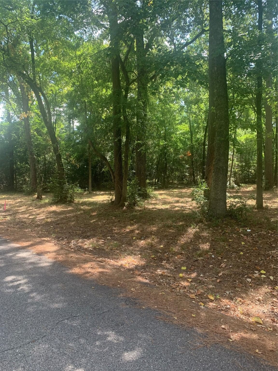 Real estate property located at TBD 13 Sweet Gum, Polk, Pinwah Pine, Livingston, TX, US