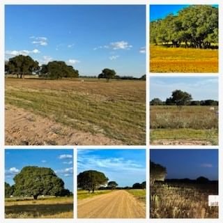 Real estate property located at TBD Gadwall, Colorado, Wild Wing Preserve, Columbus, TX, US