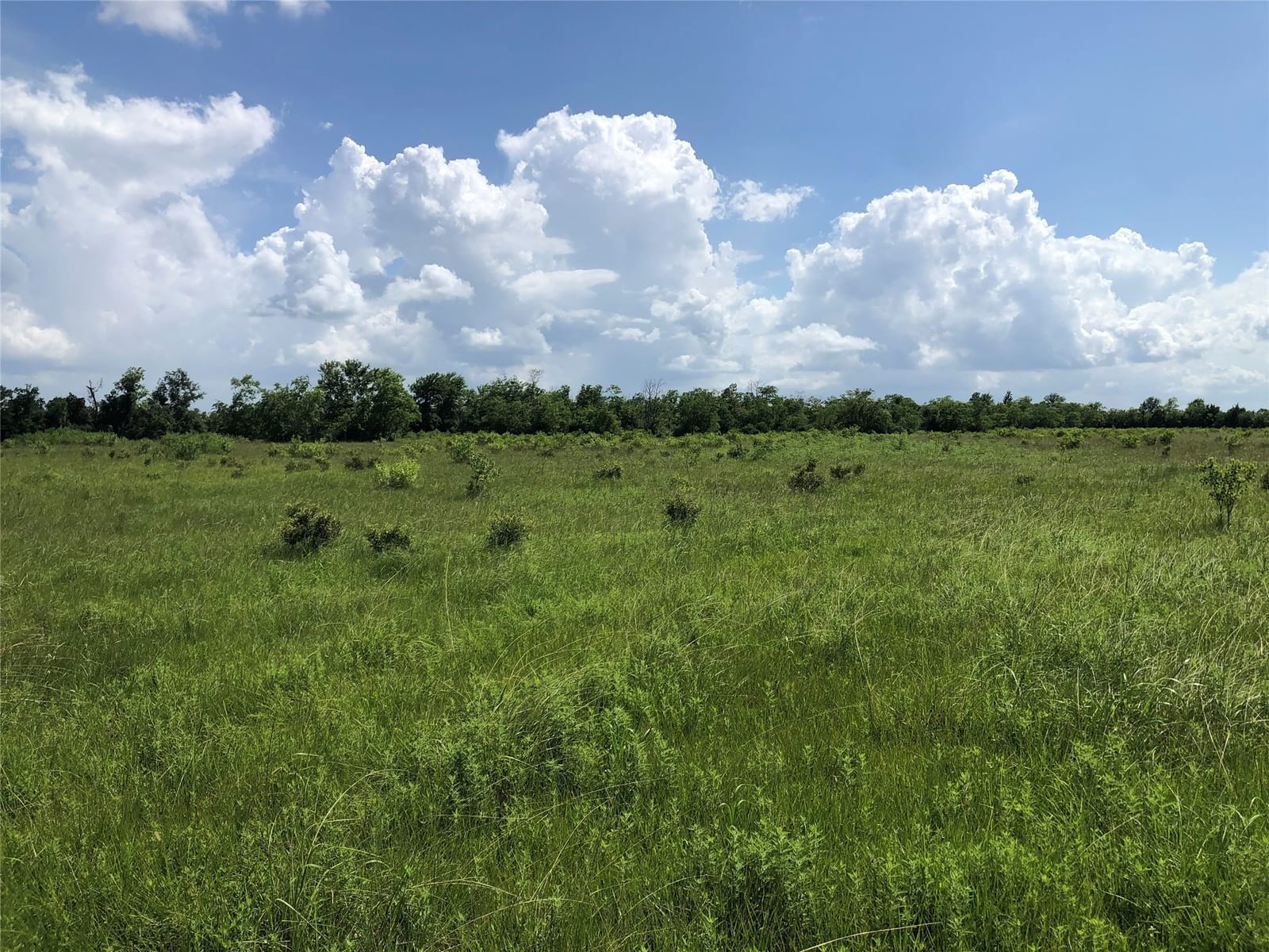 Real estate property located at TBD County Road 182, Liberty, H & T.C. -173, Raywood, TX, US