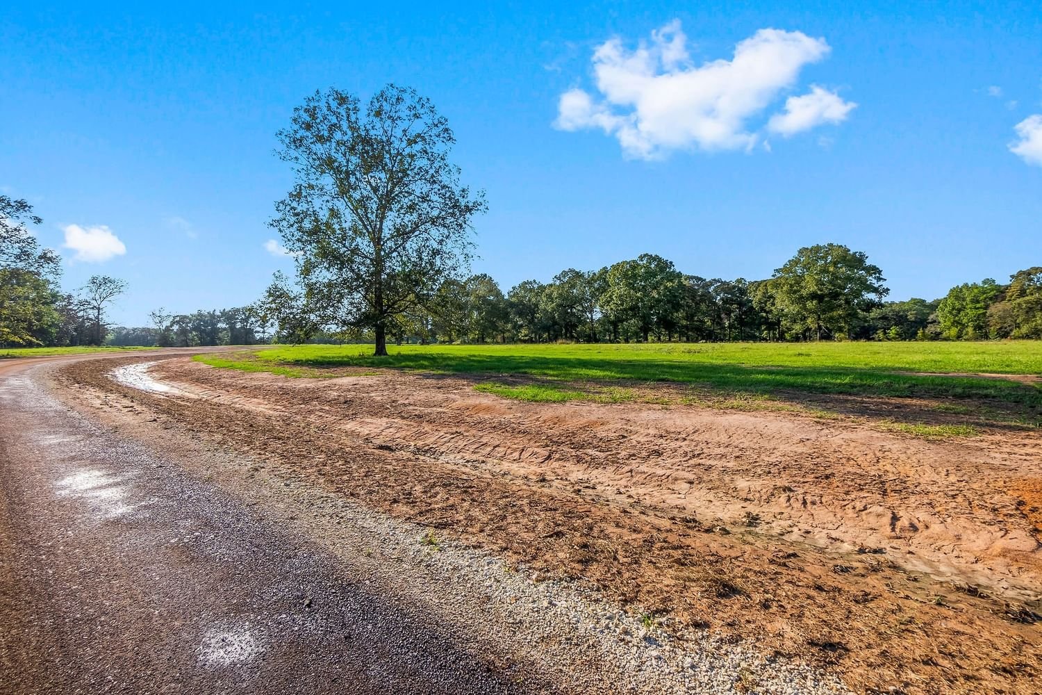 Real estate property located at Lot 6 Alans Memorial Lane, Montgomery, The Oak Reserve of Anderson Mize, New Waverly, TX, US