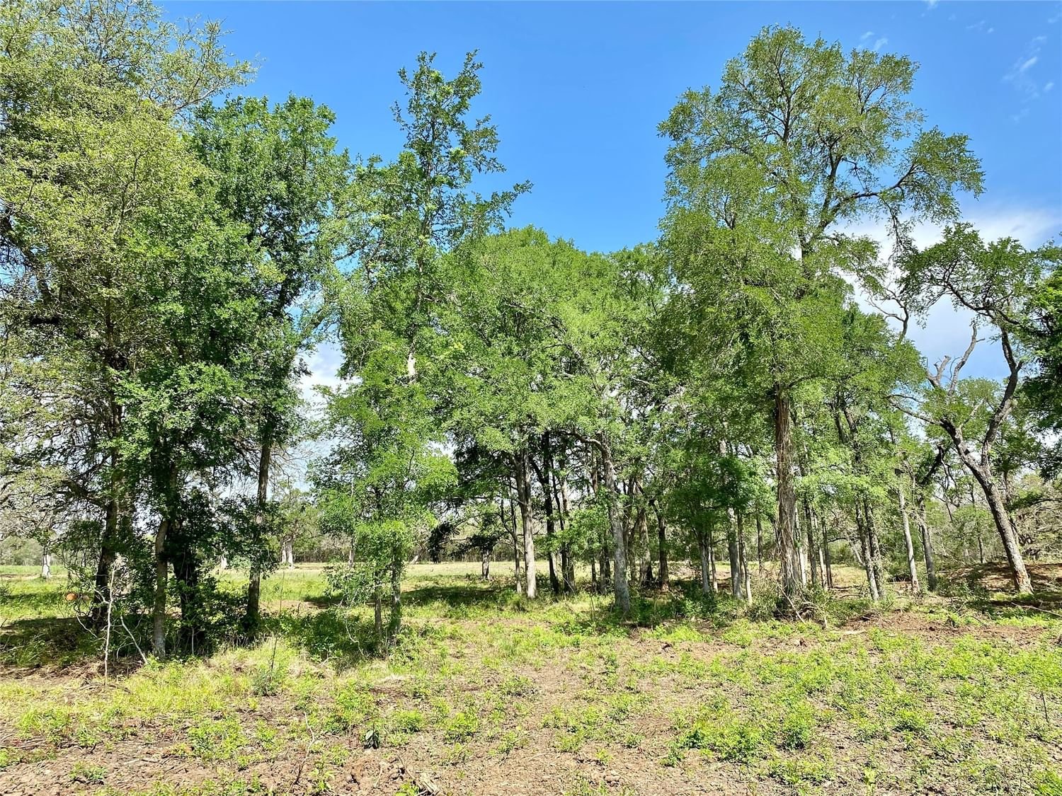 Real estate property located at 1365 FM 2104, Bastrop, Mckey, Ruth, Smithville, TX, US