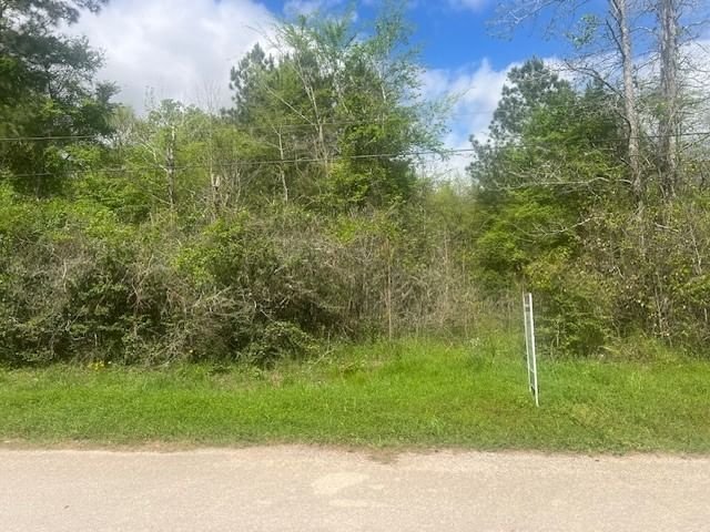 Real estate property located at 97236 Sunflower, Montgomery, Hazy Hollow East Estate 11, Magnolia, TX, US