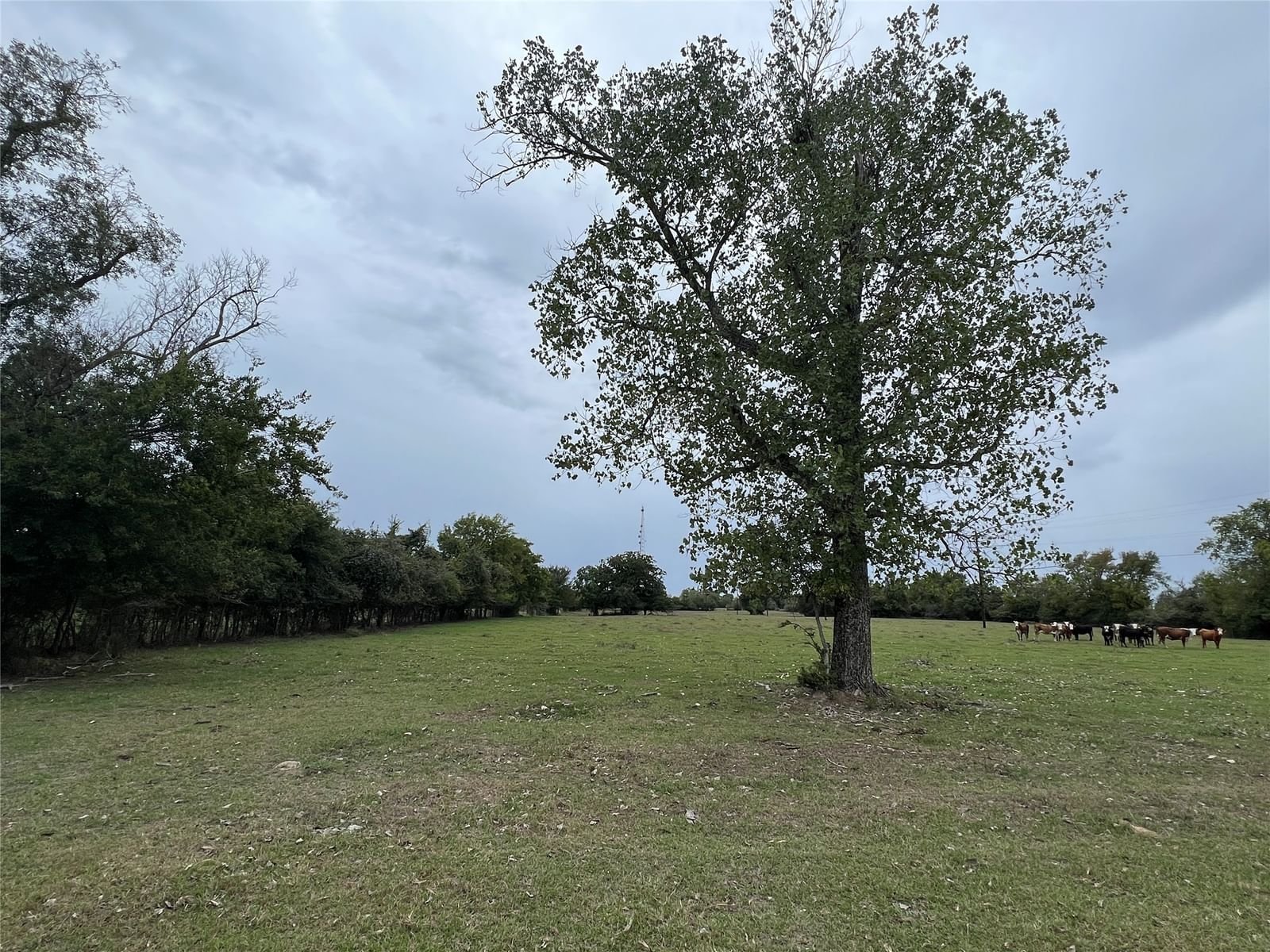 Real estate property located at Lot 8 County Road 166, Grimes, Other, Iola, TX, US