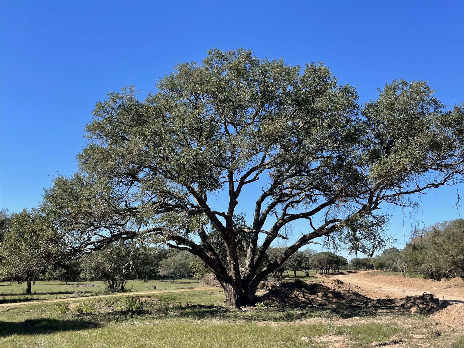 Real estate property located at Lot 29 Shorebird, Colorado, WILD WING PRESERVE, Columbus, TX, US