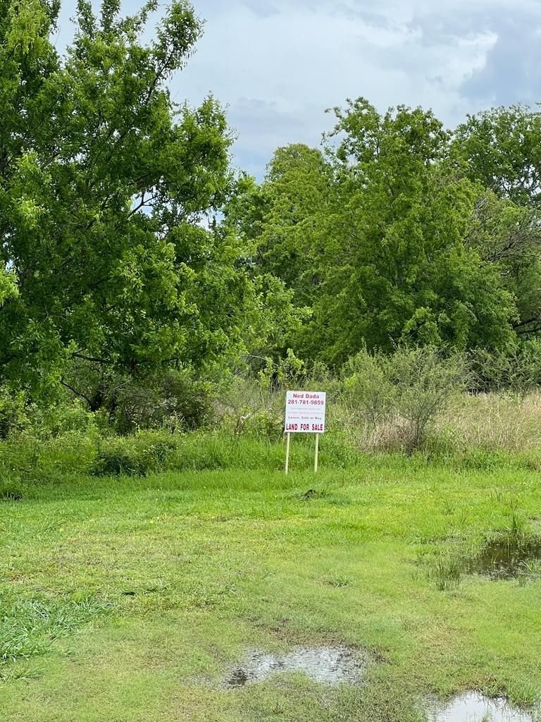 Real estate property located at 00 King, Fort Bend, Beasley, TX, US