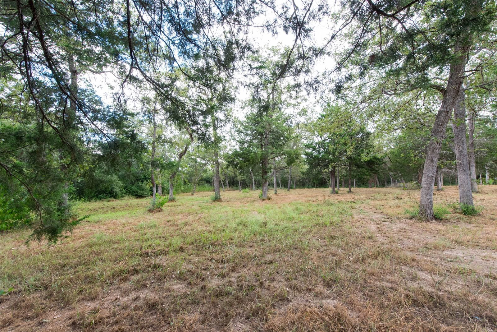 Real estate property located at TBD Grape Cir -1 Acres, Burleson, ENCHANTED OAKS, Somerville, TX, US