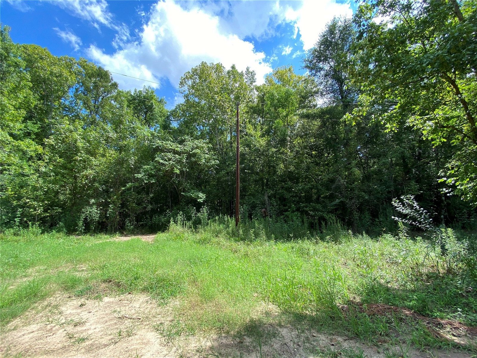 Real estate property located at tbd CR 3700, Tyler, N/A, Woodville, TX, US