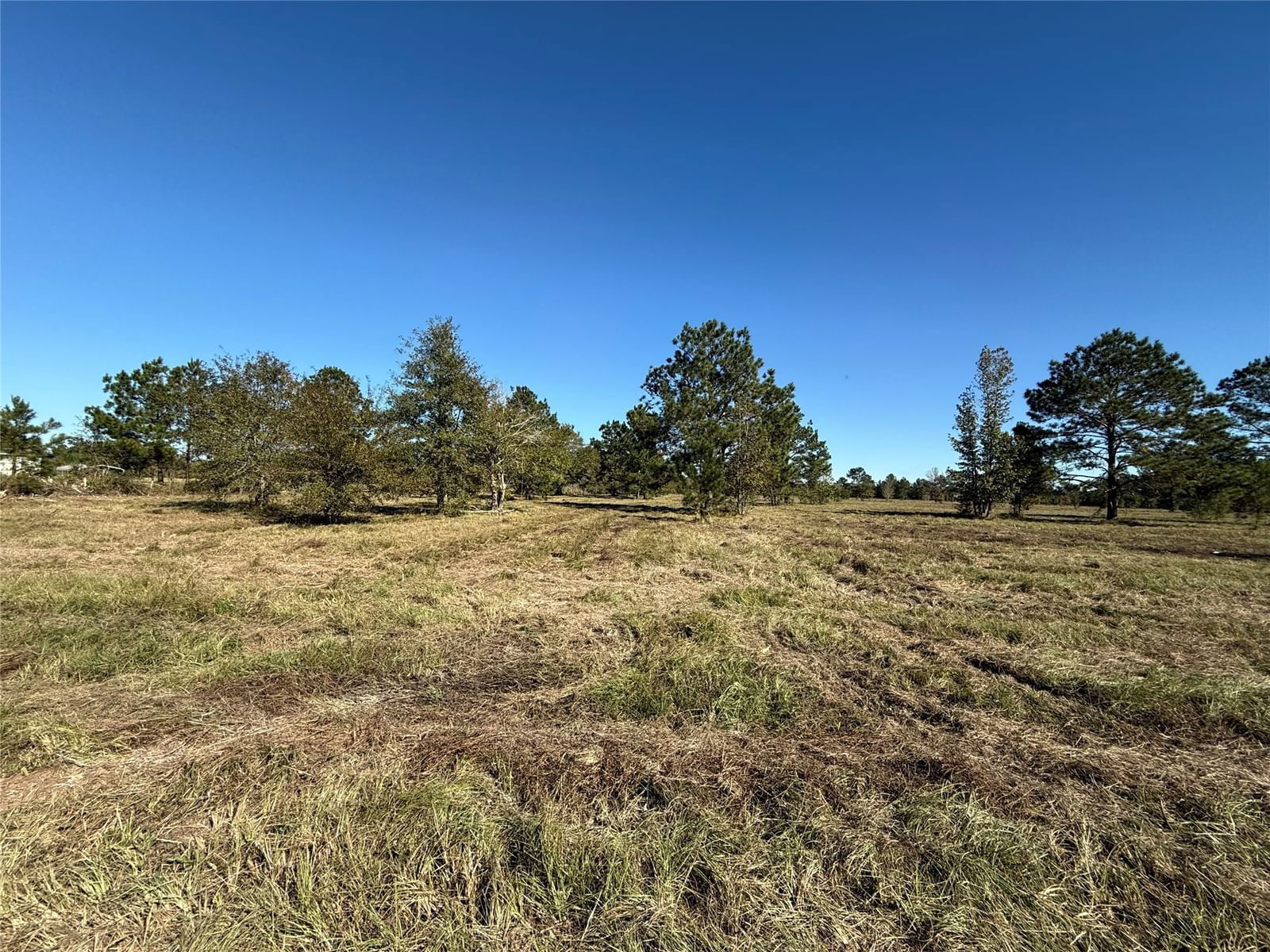 Real estate property located at 0 County Road 3011A, Liberty, Tarkington Farms, Dayton, TX, US