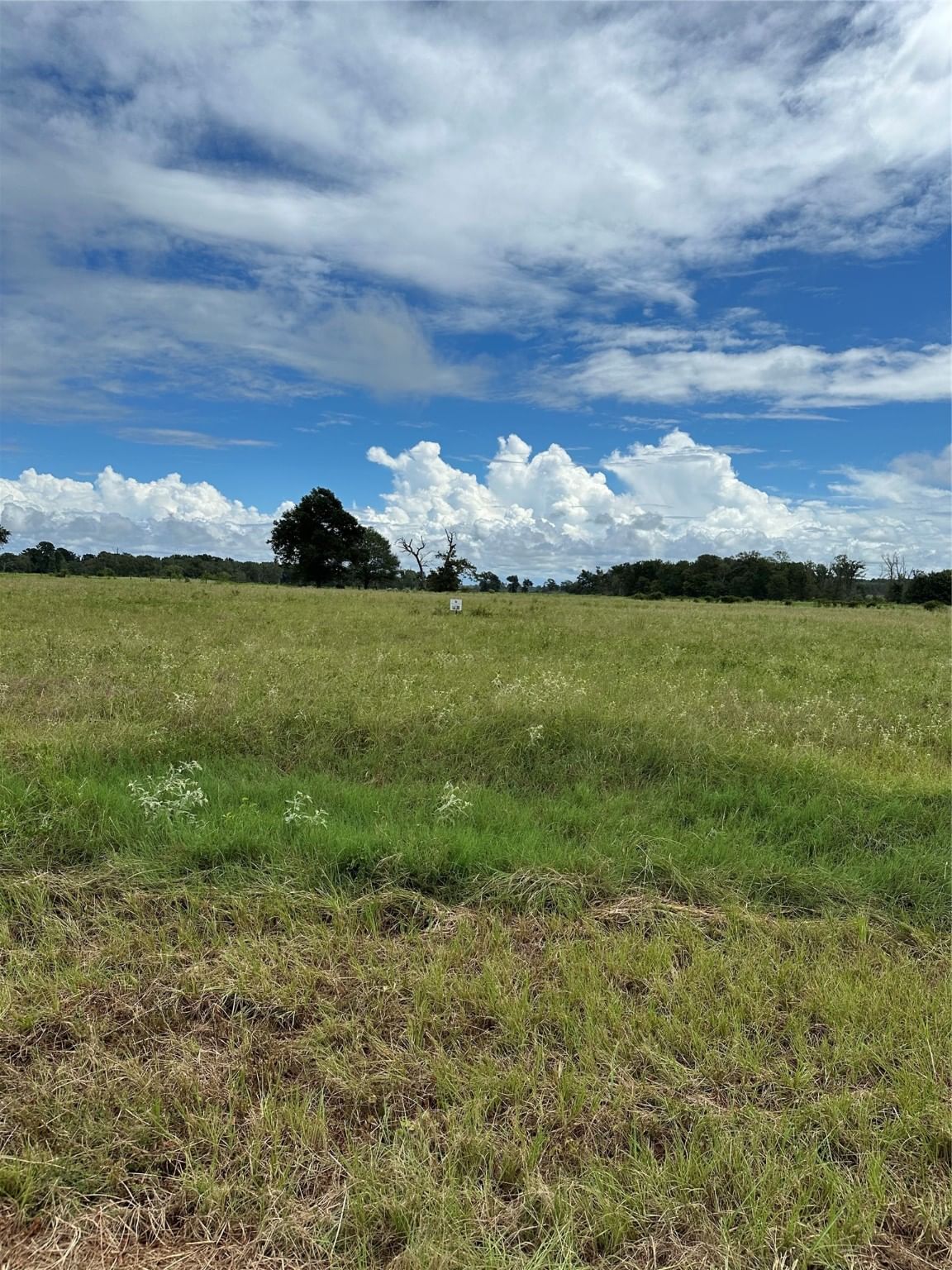 Real estate property located at TBD Private Road 2316, Leon, Haley Creek Farms, Centerville, TX, US