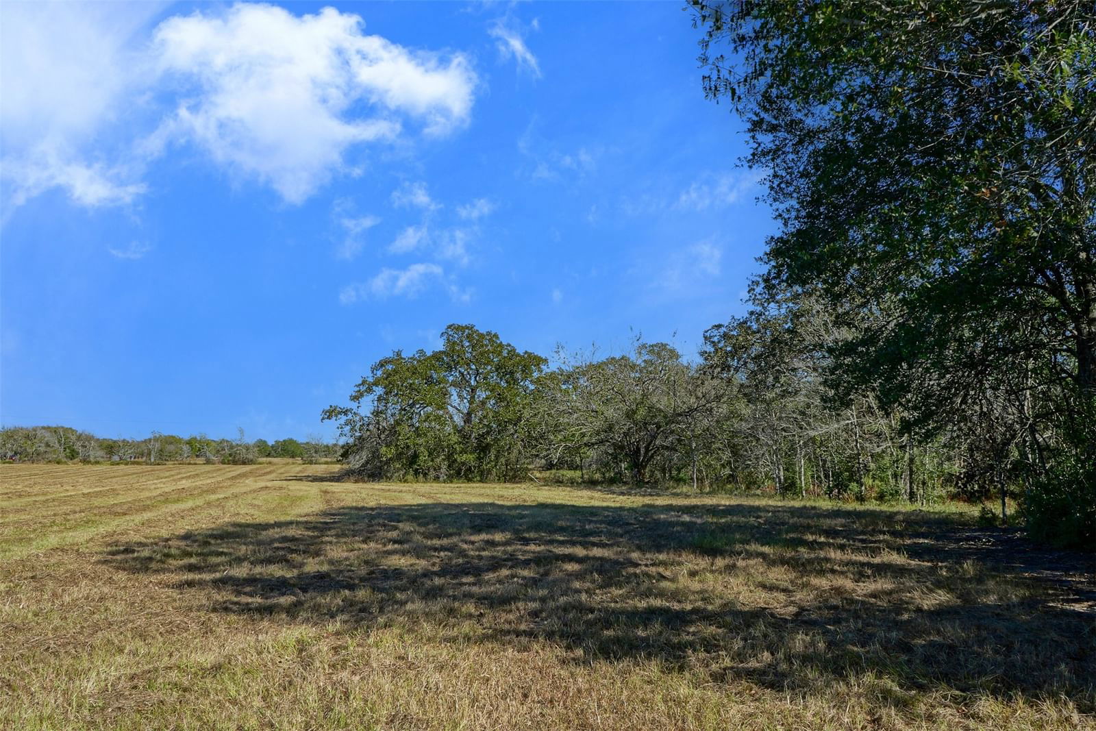 Real estate property located at Lot 6 County Rd 229, Grimes, n/a, Bedias, TX, US