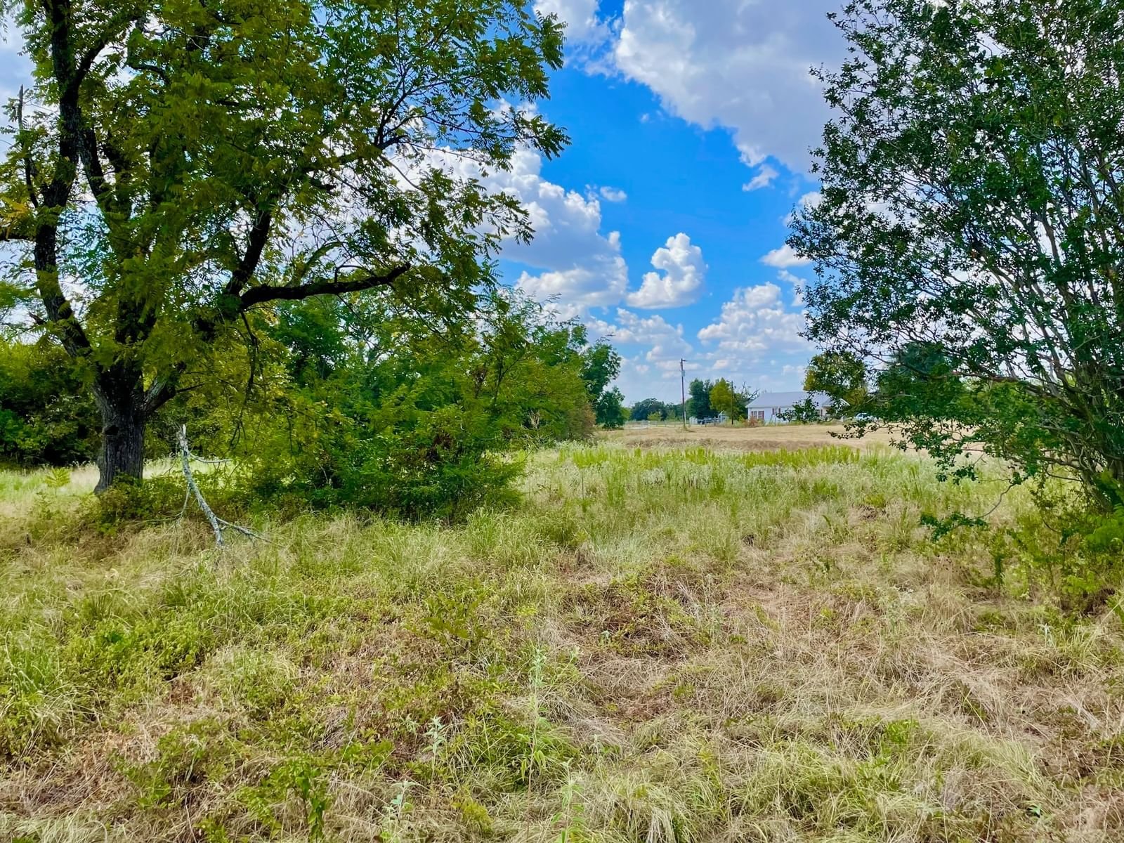 Real estate property located at 281 E FM 979, Robertson, D Love Surv Abs #212, Franklin, TX, US