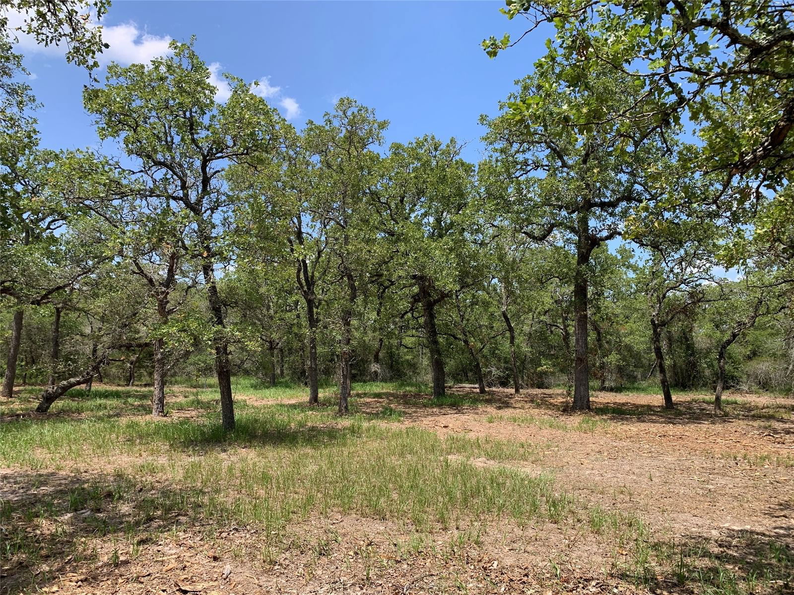 Real estate property located at 0000 Private Road 1581, Lavaca, The Lazy Sandies, Hallettsville, TX, US