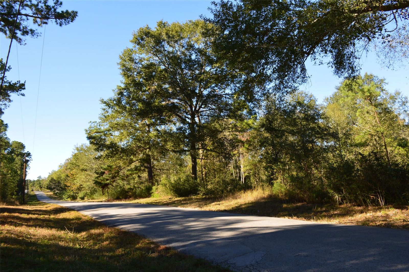 Real estate property located at Tract #2 County Road 302, Grimes, William Fisher Surv Abs #200, Plantersville, TX, US