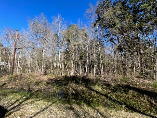 Real estate property located at 998 Presley Lane, San Jacinto, Shepherd, TX, US