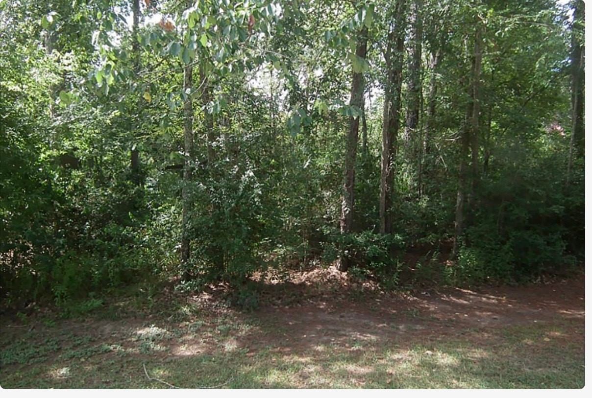 Real estate property located at 0 Brookwater, Harris, Water Wonderland U/R, Huffman, TN, US