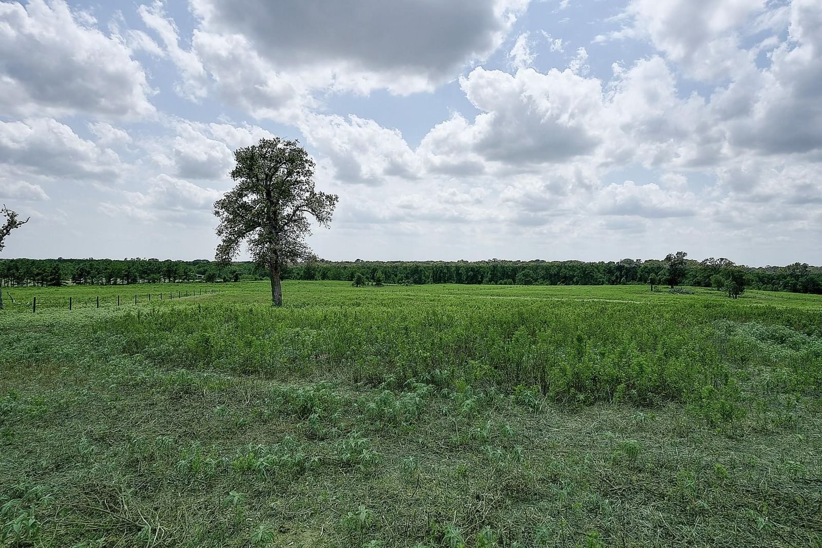 Real estate property located at T-18 An County Road 466, Anderson, William Allbright Surv A-80, Palestine, TX, US