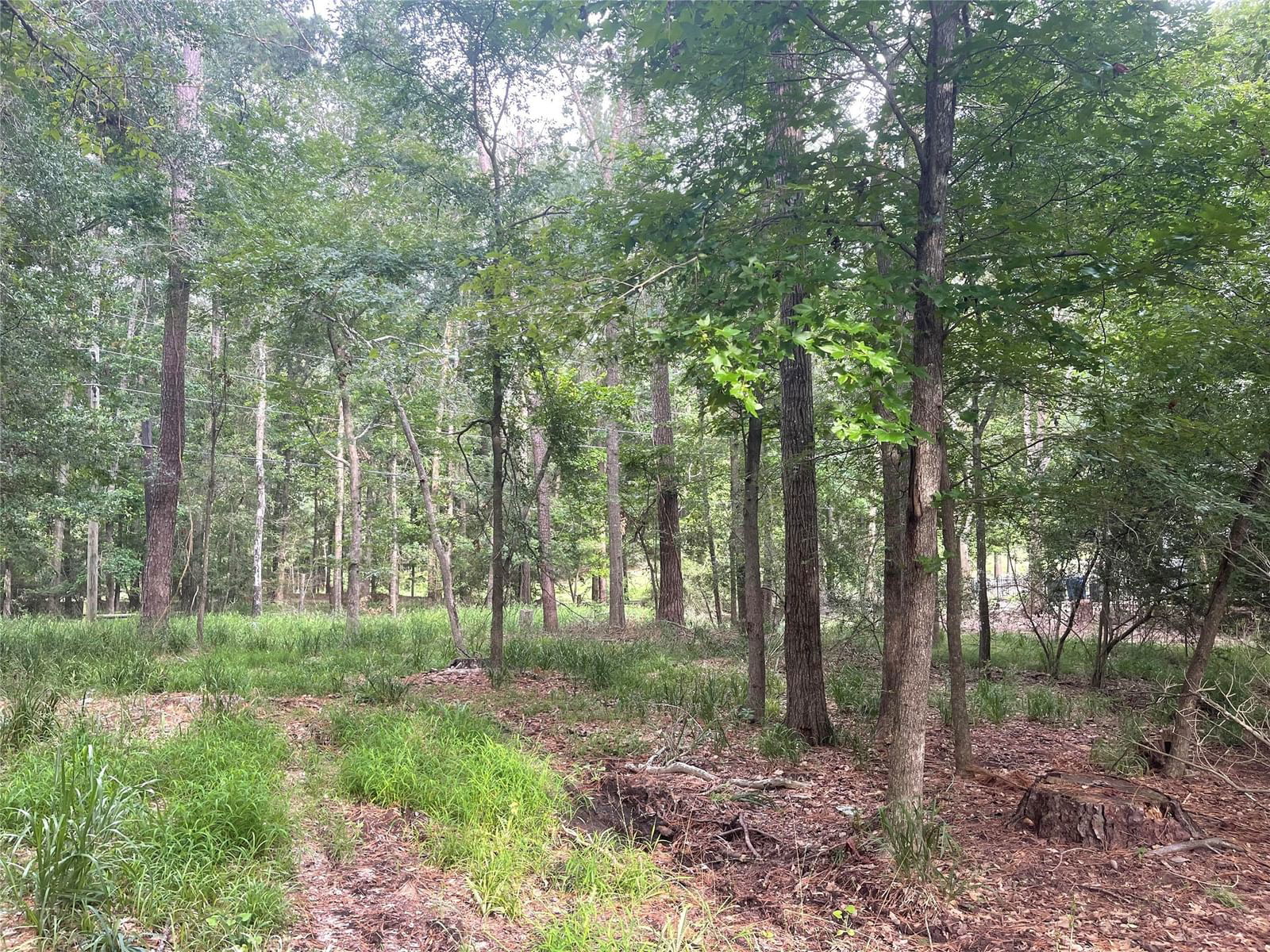 Real estate property located at 1049 Broadmoor, Walker, Elkins Lake - Sec 2, Huntsville, TX, US