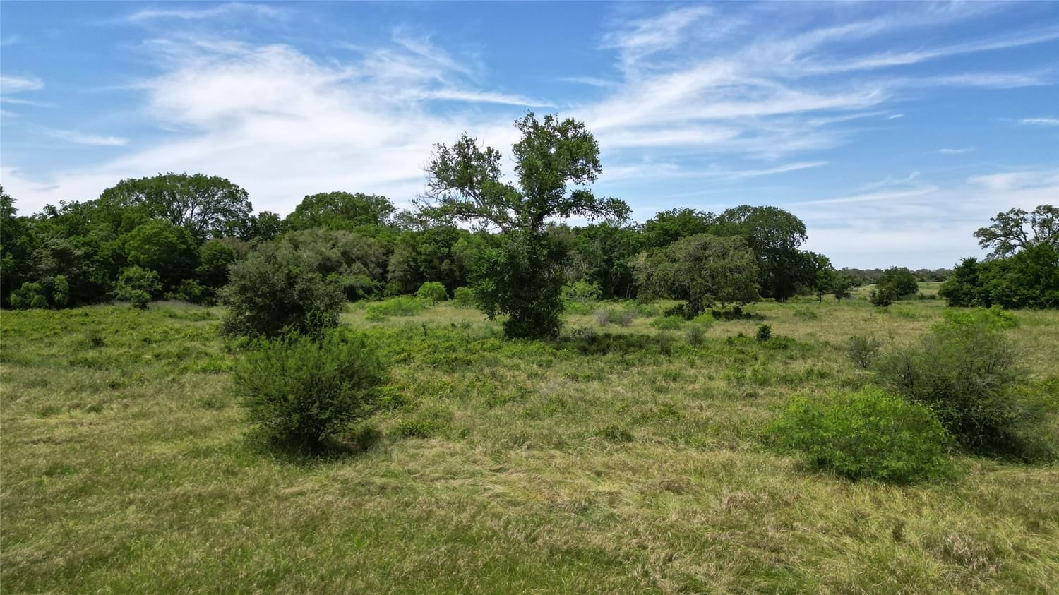 Real estate property located at 4207 County Road 444, Gonzales, Waelder, TX, US