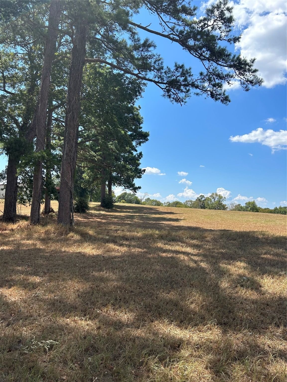 Real estate property located at Lot 2 Easy St, Polk, Livingston, TX, US