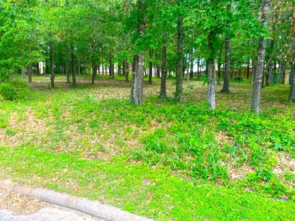Real estate property located at 901 Longmire Road, Montgomery, Longwood, Conroe, TX, US