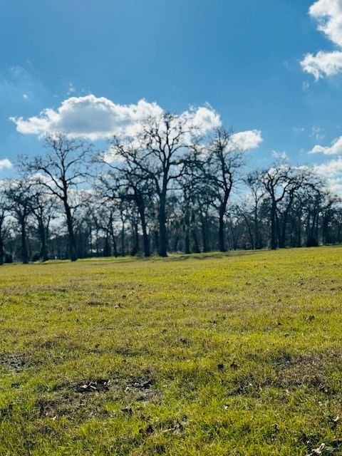 Real estate property located at TBD County Road 2099, Liberty, Jas Knight, Liberty, TX, US
