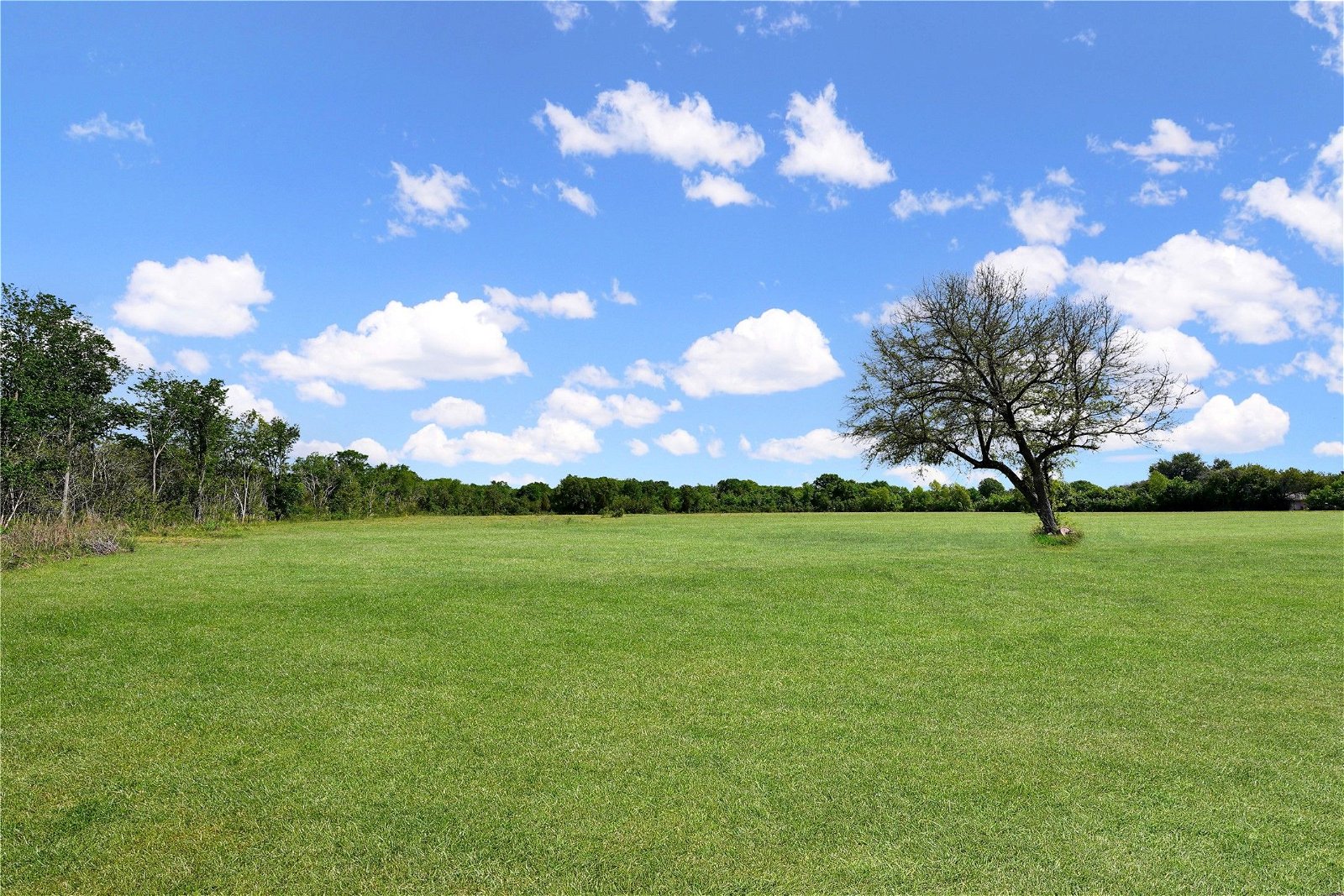 Real estate property located at 0 Meldrum, Harris, Meldrum Comm Reserve A B, Houston, TX, US