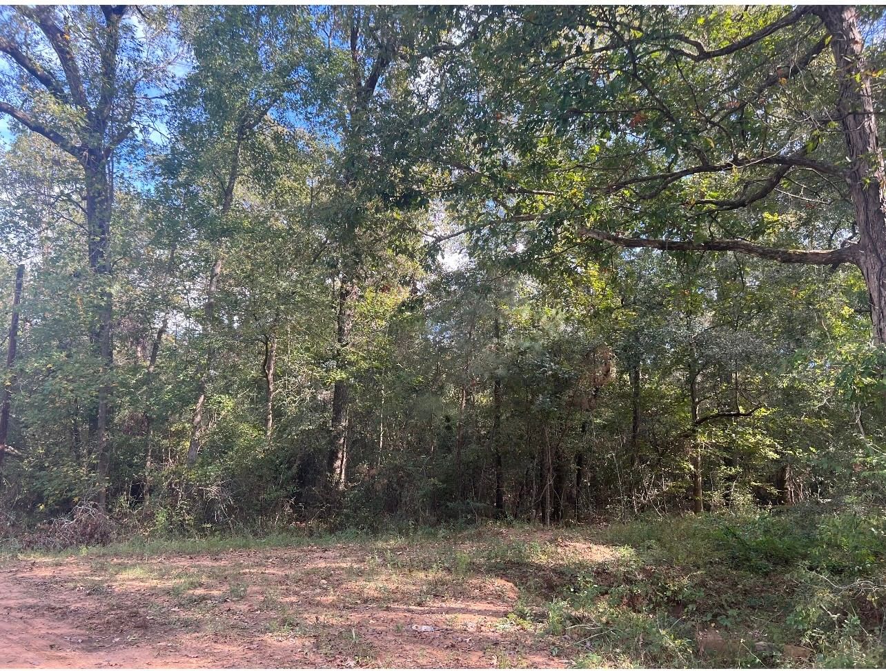 Real estate property located at 000 Maid Marian, San Jacinto, Sherwood Forest #1, Shepherd, TX, US