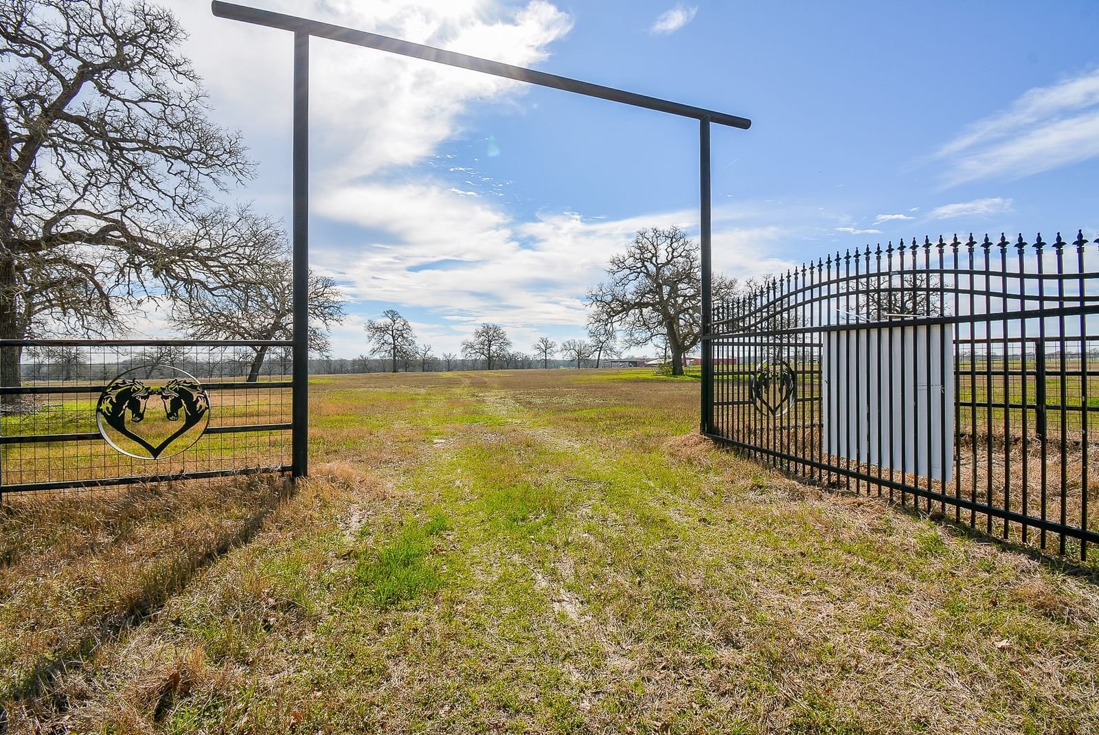 Real estate property located at 8234 County Road 201 - CR 201, Burleson, A0190 - MILES A H, Somerville, TX, US