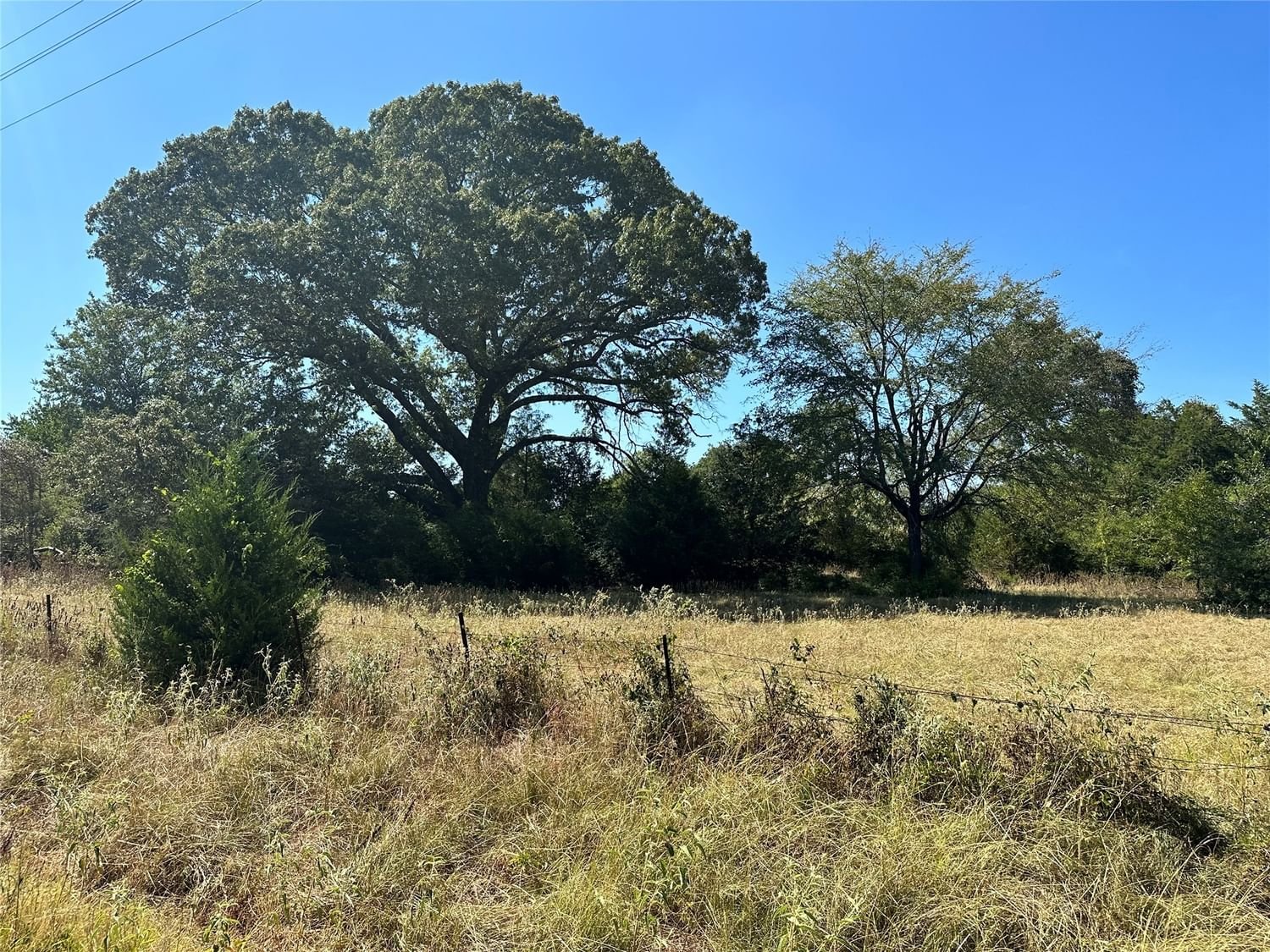 Real estate property located at 60AC Cr 301, Leon, Buffalo, TX, US