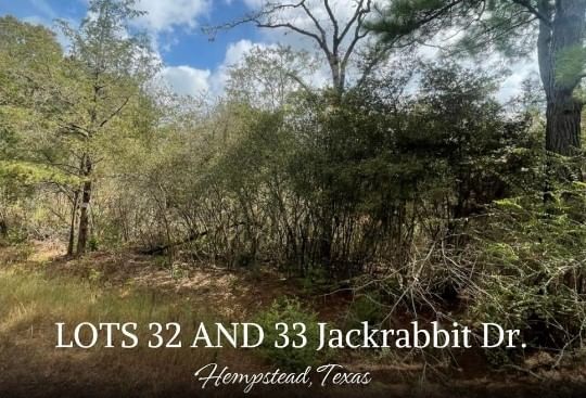 Real estate property located at 000 Lot 32 and 33 Jackrabbit Dr, Waller, Deerwood Lakes 5, Hempstead, TX, US