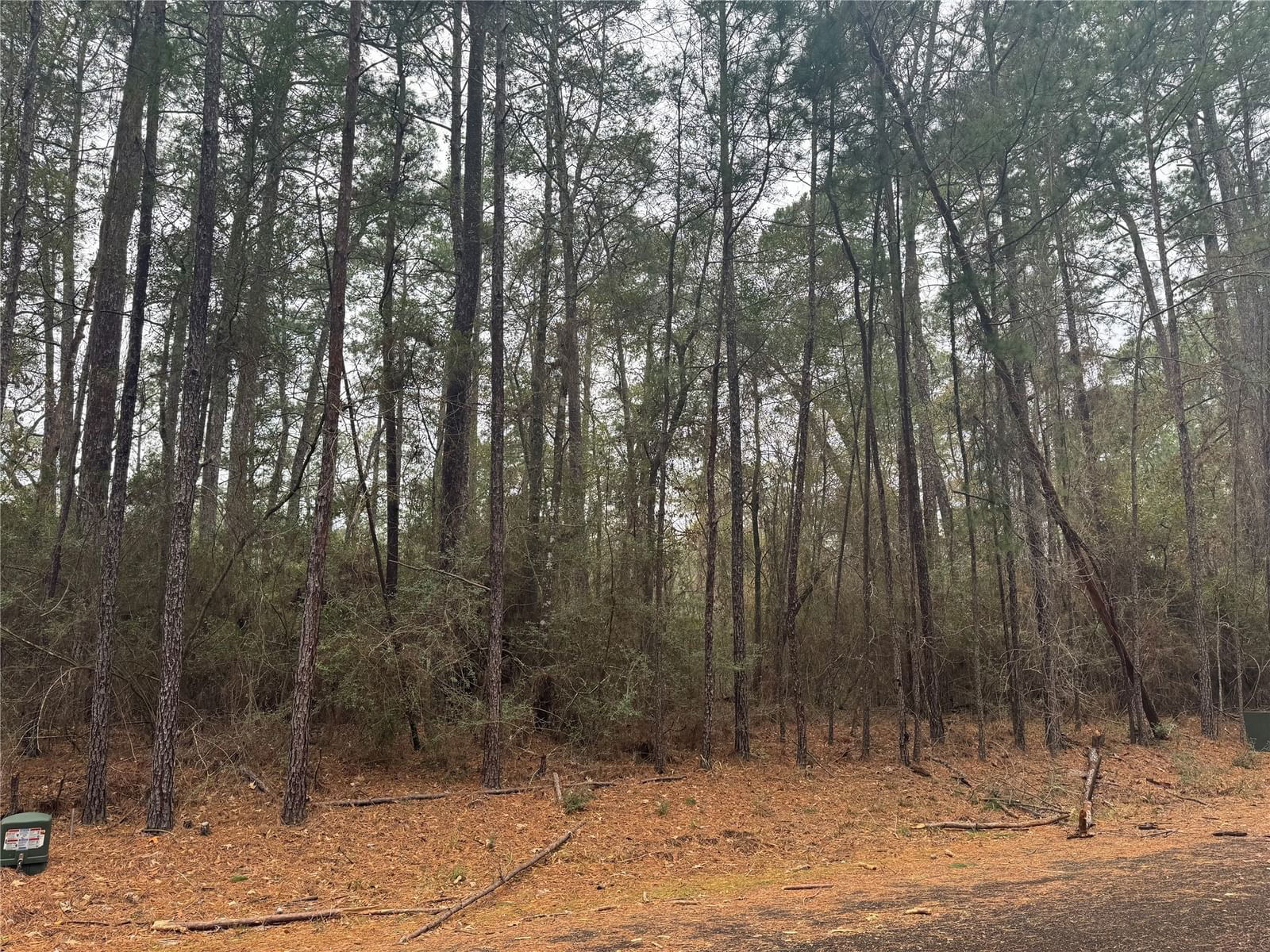 Real estate property located at Lot 31 Wingfoot, San Jacinto, Waterwood, Huntsville, TX, US