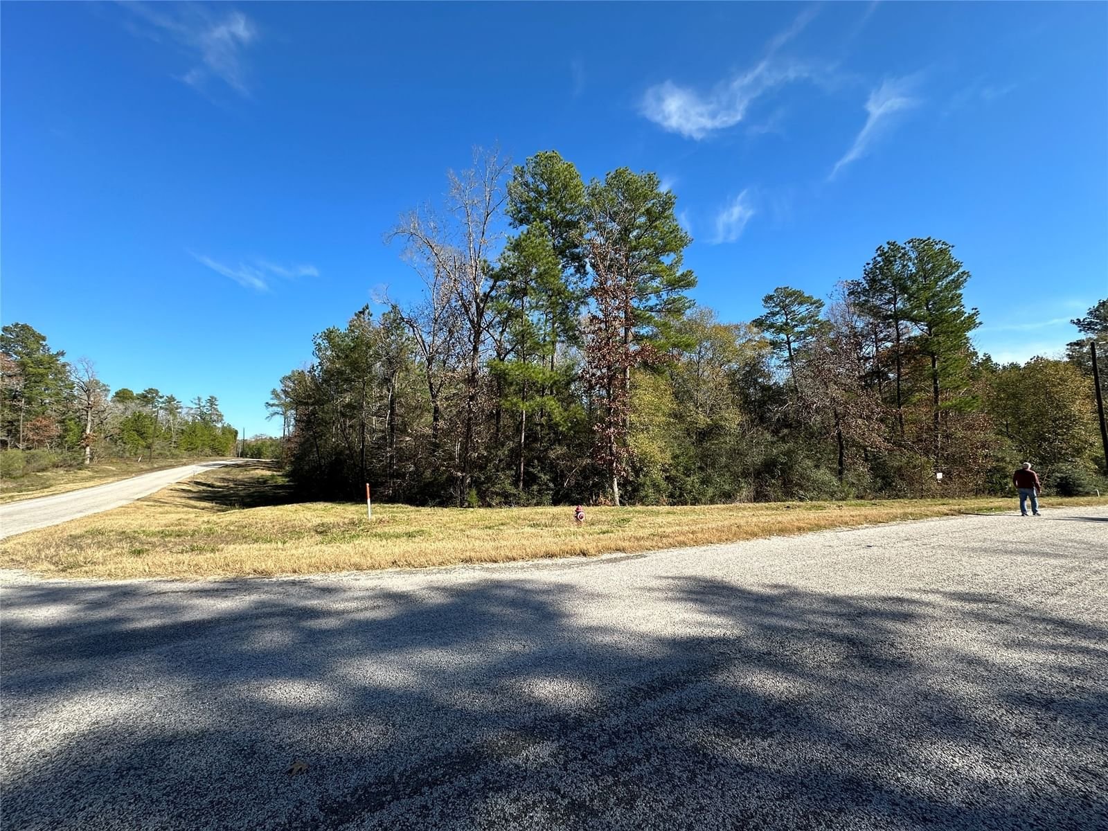 Real estate property located at 2-6-68 Hereford, Walker, I Texas Grand Ranch Ph 2, Huntsville, TX, US